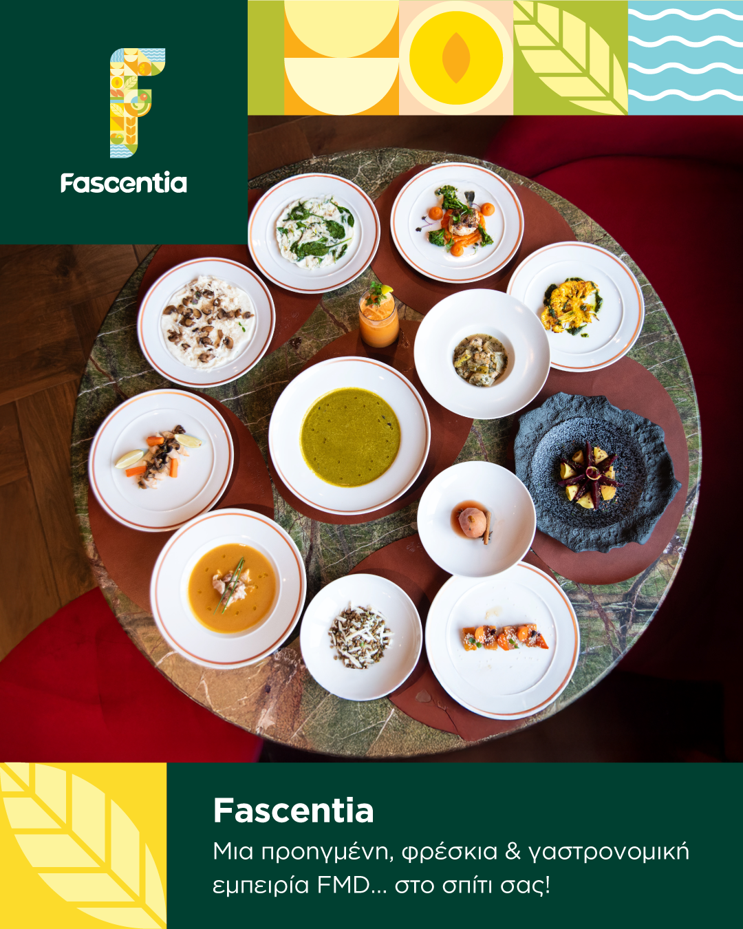 Fascentia 1